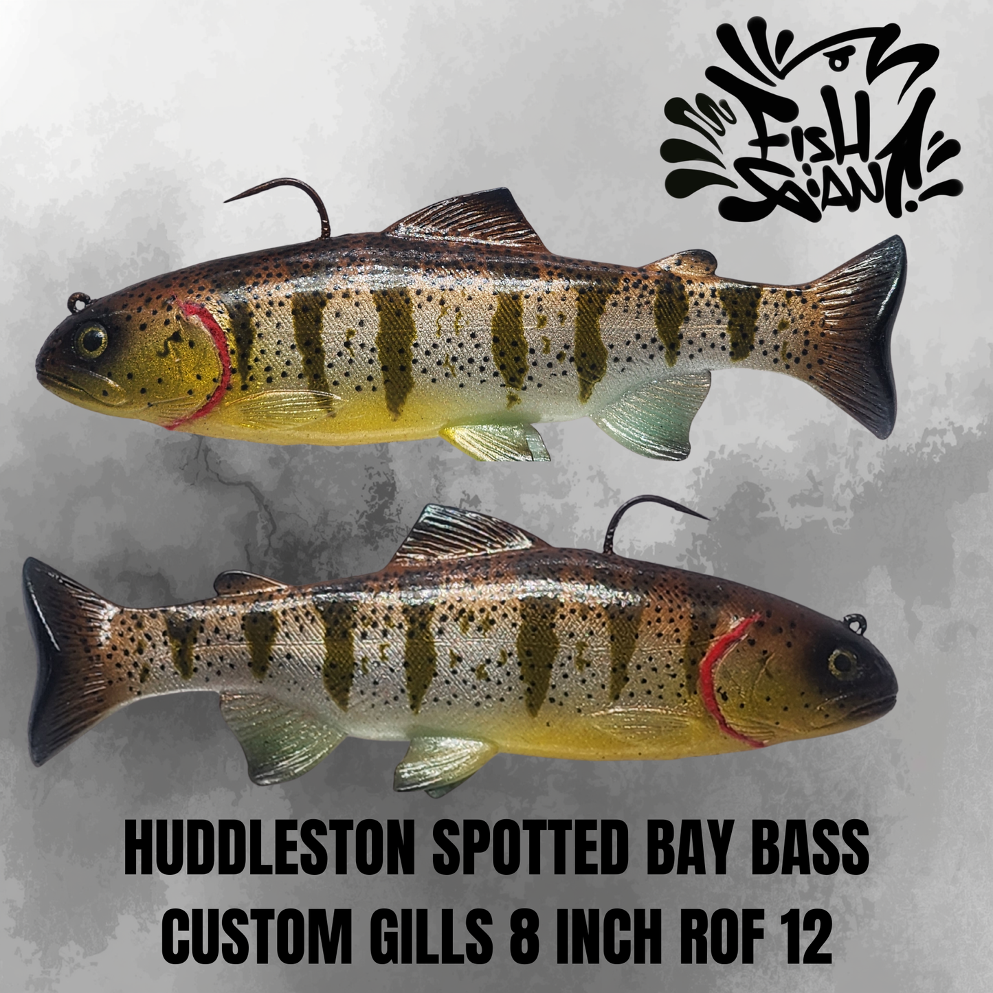 HUDDY - 8 INCH - SPOTTED BAY BASS - CUSTOM GILLS