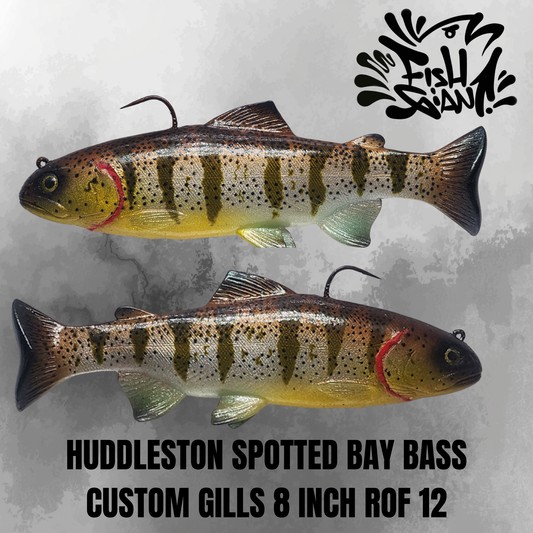 HUDDY - 8 INCH - SPOTTED BAY BASS - CUSTOM GILLS
